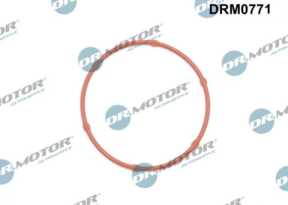 Прокладка масляного насоса DR.MOTOR AUTOMOTIVE, DRM0771